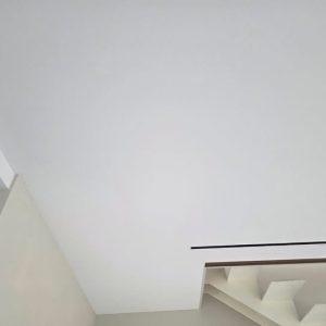 D55C2079-DA8A-4E18-9720-3D4BBF4C59D9